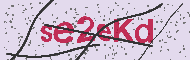 Codice captcha