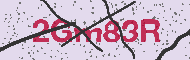 Codice captcha