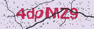 Codice captcha