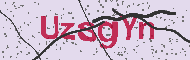 Codice captcha