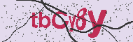 Codice captcha