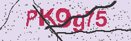 Codice captcha