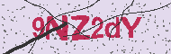 Codice captcha