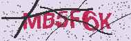 Codice captcha